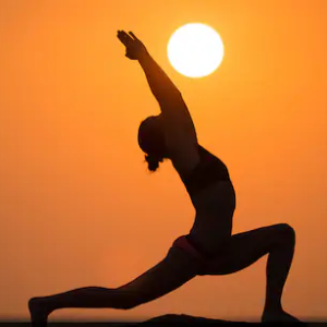 4 Principles - Motion Mastery - a) Personalized Exercise Yoga b) Travel Guidance